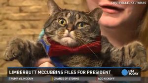 Cat president and his name is limberbutt